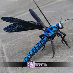 Super Basic STL Dragonfly Meganeura