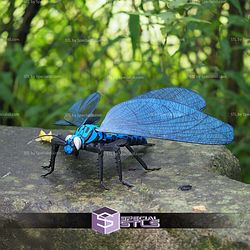 Super Basic STL Dragonfly Meganeura