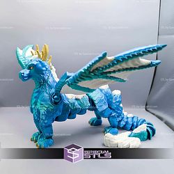 Super Basic STL Flexi Arctic Dragon