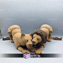 Super Basic STL Flexi Lions