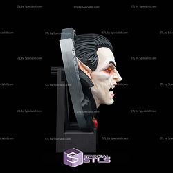 Super Basic STL Head Count