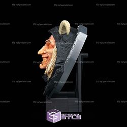 Super Basic STL Hunted Hag