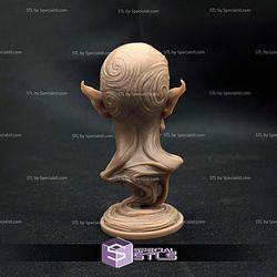 Borgash Bust Fanart STL Files