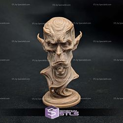 Borgash Bust Fanart STL Files