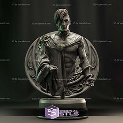 Envy Bust Fanart STL Files