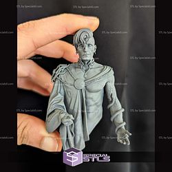 Envy Bust Fanart STL Files