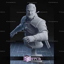 Geralt Angry Battle Bust STL Files