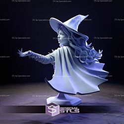 Tasha Bust Forgotten Realms STL Files