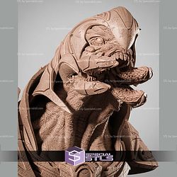 The Arbiter Halo Portrait 367mm Bust STL Files