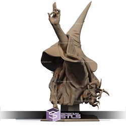 The Legendary Merlin Bust STL Files