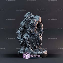 The Ork Horde Arbiter Miniatures Campaign