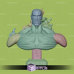 Titan Colossal Bust STL Files