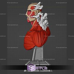 Titan Colossal Bust STL Files