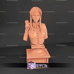 Wednesday New Style Bust 100mm STL Files