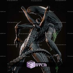 Xenomorph Alien 380mm STL Files