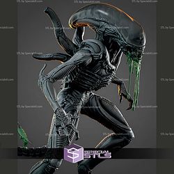 Xenomorph Alien 380mm STL Files