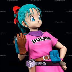 Young Bulma 365mm STL Files
