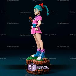 Young Bulma 365mm STL Files