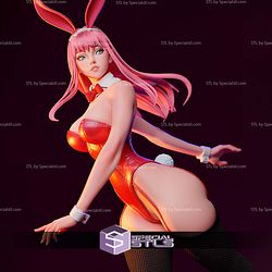 Zero Two Bunny Version STL Files