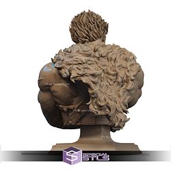 Zodd Berserk Red Eyes Bust STL Files
