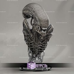 Alien Xenomorph Bust 201mm STL Files