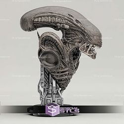 Alien Xenomorph Bust 201mm STL Files