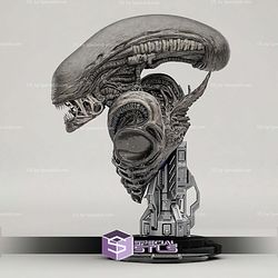 Alien Xenomorph Bust 201mm STL Files