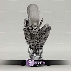 Alien Xenomorph Bust 201mm STL Files