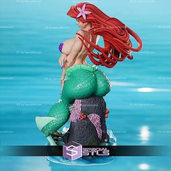 Ariel Curvy ALT STL Files