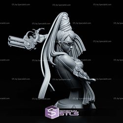 Bayonetta Bust 150mm STL Files