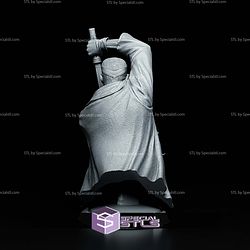 Blade Bust 192mm STL Files