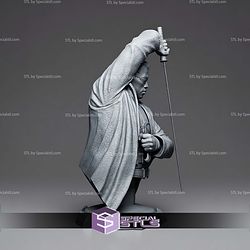 Blade Bust 192mm STL Files