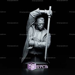 Blade Bust 192mm STL Files