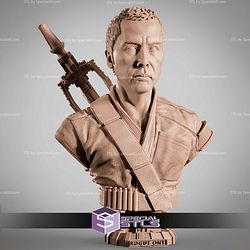 Chirrut Imwe Portrait Bust 315mm STL Files