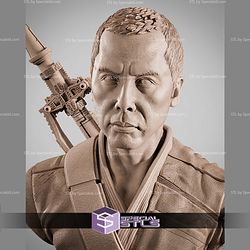 Chirrut Imwe Portrait Bust 315mm STL Files