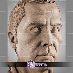 Chirrut Imwe Portrait Bust 315mm STL Files