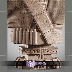 Chirrut Imwe Portrait Bust 315mm STL Files