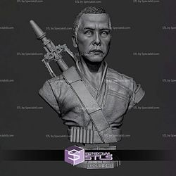 Chirrut Imwe Portrait Bust 315mm STL Files