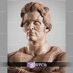 Dr Hank Pym Giant Man Portrait Bust STL Files