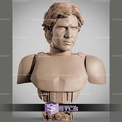 Han Solo Stormtrooper Portrait Bust 310mm STL Files