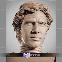 Han Solo Stormtrooper Portrait Bust 310mm STL Files