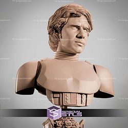 Han Solo Stormtrooper Portrait Bust 310mm STL Files