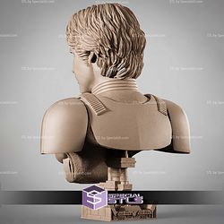 Han Solo Stormtrooper Portrait Bust 310mm STL Files