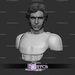 Han Solo Stormtrooper Portrait Bust 310mm STL Files