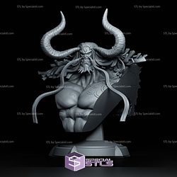 Kaido Bust 253mm STL Files