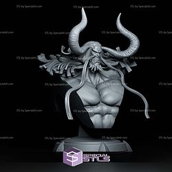 Kaido Bust 253mm STL Files