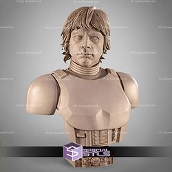 Luke Stormtrooper Portrait Bust 300mm STL Files