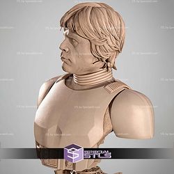 Luke Stormtrooper Portrait Bust 300mm STL Files