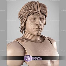 Luke Stormtrooper Portrait Bust 300mm STL Files