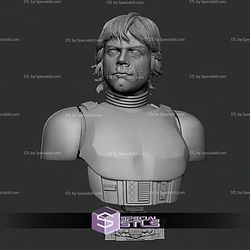 Luke Stormtrooper Portrait Bust 300mm STL Files